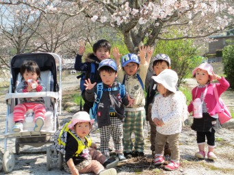 桜集合写真