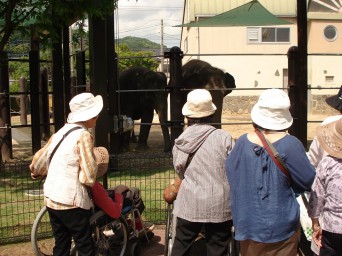 動物園２