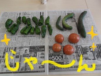 野菜