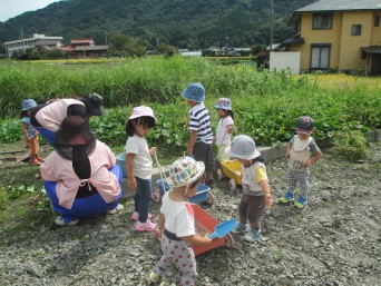 芋ほり